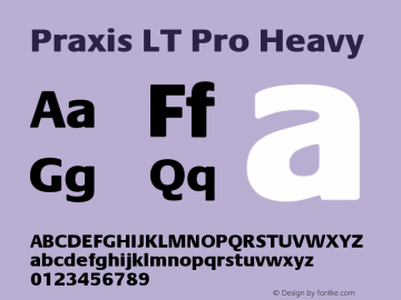 Praxis LT Pro Heavy Version 1.000;PS 001.000;hotconv 1.0.38图片样张
