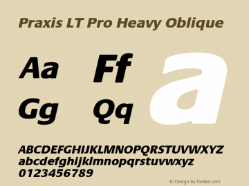 Praxis LT Pro Heavy Oblique Version 1.000;PS 001.000;hotconv 1.0.38图片样张