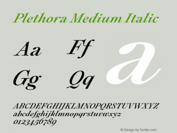 Plethora Medium Italic Version 1.000;hotconv 1.0.109;makeotfexe 2.5.65596图片样张