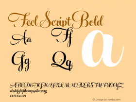 Feel Script Bold Version 1.000;PS 001.000;hotconv 1.0.88;makeotf.lib2.5.64775图片样张