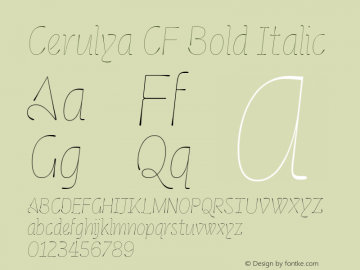 Cerulya CF Bold Italic Version 1.000;FEAKit 1.0图片样张