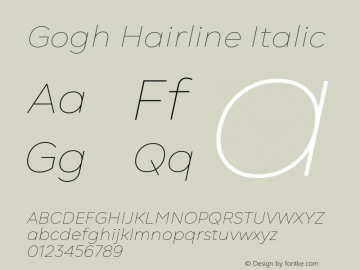 Gogh Hairline Italic Version 1.004 | FøM Fix图片样张