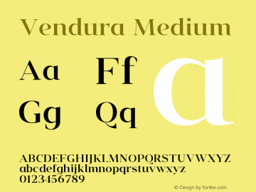 Vendura Medium Version 1.001;FEAKit 1.0图片样张