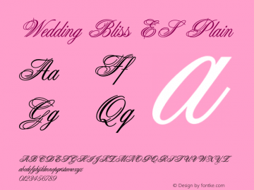 Wedding Bliss ES Plain 1.4 Font Sample