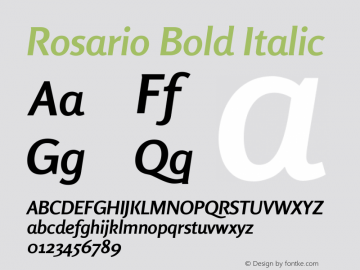 Rosario Bold Italic Version 1.201图片样张