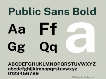 Public Sans Bold Version 2.001图片样张