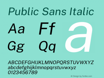 Public Sans Italic Version 2.001图片样张