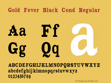 Gold Fever Black Cond Regular Version 1.0 Extracted by ASV http://www.buraks.com/asv图片样张