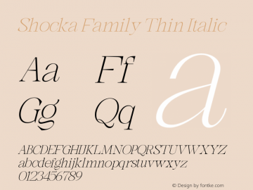 ShockaFamily-ThinItalic Version 1.000图片样张