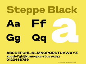 Steppe Black Version 1.000 | FøM Fix图片样张