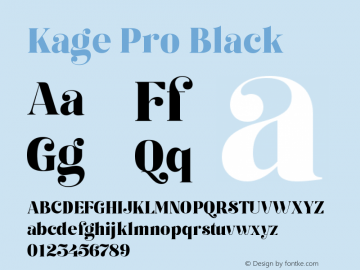 Kage Pro Black Version 2.001;FEAKit 1.0图片样张