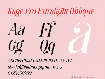 Kage Pro Extra Light Oblique Version 2.001;FEAKit 1.0图片样张