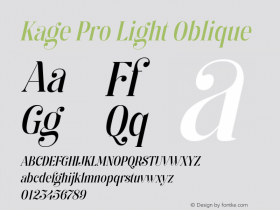 Kage Pro Light Oblique Version 2.001;FEAKit 1.0图片样张