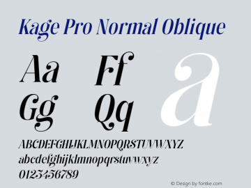 Kage Pro Normal Oblique Version 2.001;FEAKit 1.0图片样张