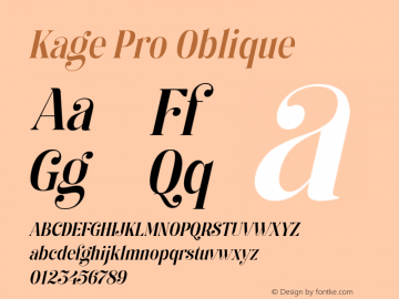 Kage Pro Oblique Version 2.001;FEAKit 1.0图片样张