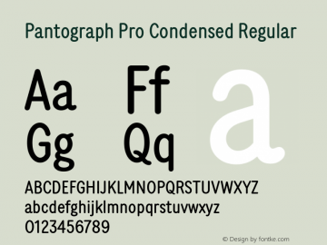 Pantograph Pro Condensed Regular Version 2.001图片样张