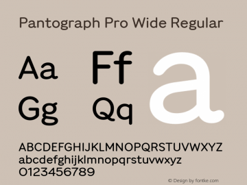 Pantograph Pro Wide Regular Version 2.001图片样张