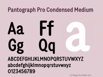 Pantograph Pro Condensed Medium Version 2.001图片样张
