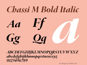 Chassi M Bold Italic Version 1.002图片样张