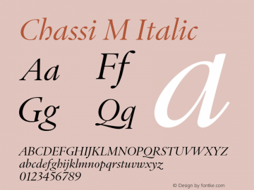 Chassi M Italic Version 1.002图片样张