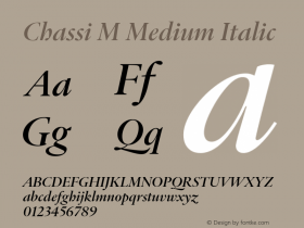 Chassi M Medium Italic Version 1.002图片样张