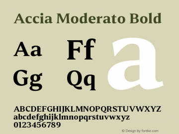 AcciaModerato-Bold Version 1.002图片样张