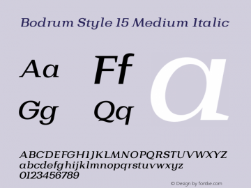 BodrumStyle-15MediumItalic Version 1.000图片样张