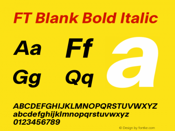 FT Blank Bold Italic Version 1.001;FEAKit 1.0图片样张