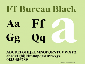 FT Bureau Black Version 1.001;FEAKit 1.0图片样张