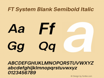 FT System Blank Semibold Italic Version 1.000;FEAKit 1.0图片样张