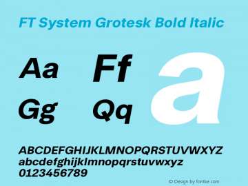 FT System Grotesk Bold Italic Version 1.000;FEAKit 1.0图片样张