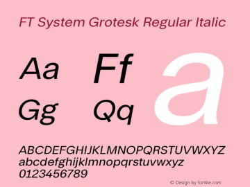FT System Grotesk Regular Italic Version 1.000;FEAKit 1.0图片样张