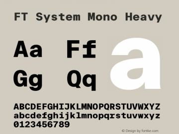 FT System Mono Heavy Version 1.000;FEAKit 1.0图片样张