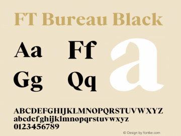 FT Bureau Black Version 1.001;FEAKit 1.0图片样张