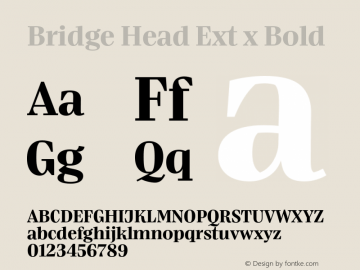 Bridge Head Ext x Bold Version 1.000;hotconv 1.0.109;makeotfexe 2.5.65596图片样张