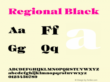 Regional Black Version 1.000;hotconv 1.0.109;makeotfexe 2.5.65596图片样张