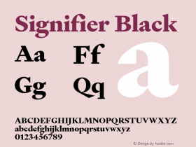 Signifier Black Version 1.005图片样张