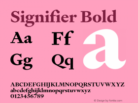 Signifier Bold Version 1.005图片样张