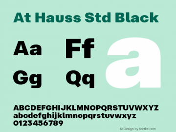 At Hauss Std Black Version 1.100 | FøM Fix图片样张