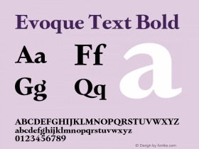 Evoque Text Bold Version 1.200;FEAKit 1.0图片样张