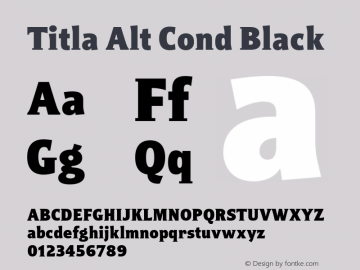 Titla Alt Cond Black Version 1.1图片样张
