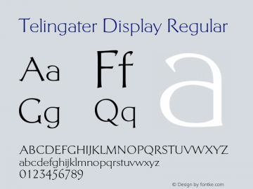 Telingater Display Version 1.000;PS 001.001;hotconv 1.0.38图片样张