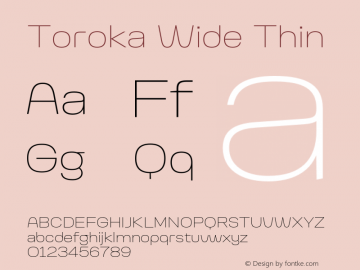 Toroka Wide Thin Version 001.000 April 2021图片样张