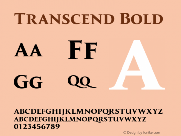 Transcend Bold Version 1.000;hotconv 1.0.109;makeotfexe 2.5.65596图片样张