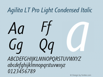 AgilitaLTPro-LightCondIt Version 1.01图片样张