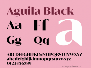 Aguila Black Version 1.000;hotconv 1.0.109;makeotfexe 2.5.65596图片样张