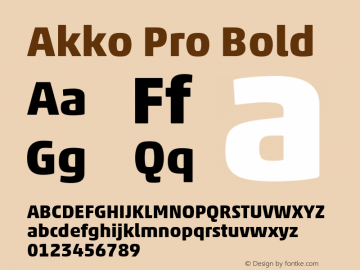 Akko Pro Bold Version 1.00图片样张