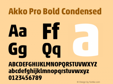 Akko Pro Bold Condensed Version 1.00图片样张