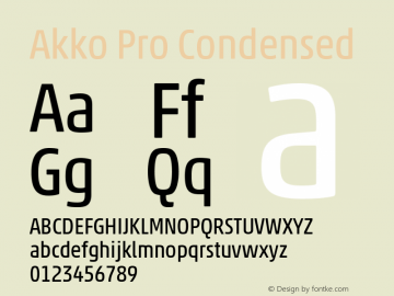 Akko Pro Condensed Version 1.00图片样张