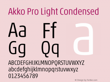 Akko Pro Light Condensed Version 1.00图片样张